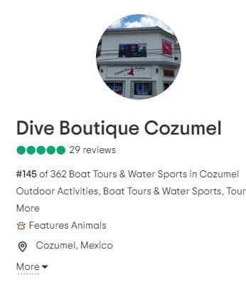 Top Cozumel Scuba Diving Guide-2022 - First Stage Scuba | Scuba Gear Reviews  and Basics
